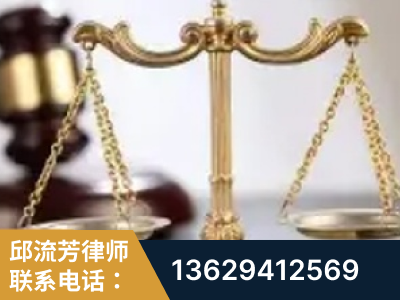 林芝-委托诉讼代理人出庭